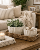 Cozy neutral living room vignette