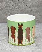 CT-4520-DOG-45-2