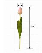 ST-WTP-PK-155R-55