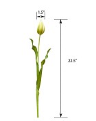 ST-WTP-LG-225R-55