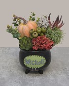 Wickedly-Autumn-5