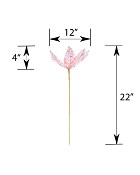 DS-DPO-PK-22BD-5