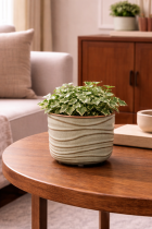 Ceramic planter with ivy plant