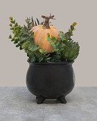 Wickedly-Autumn-4
