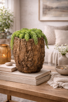 Rustic planter with succulent and lantern