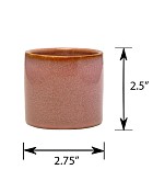 CT-4520-PK-25-55