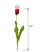 ST-WTP-RD-245R-4