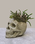 Bone-Garden-2