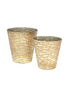 Etched Line Gold Lustre Taper Glass Vase  6" x 6"