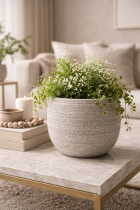 Serene indoor greenery and decor