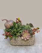 Autumn-Grove-6