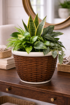 Plantes vertes dans un panier tissé