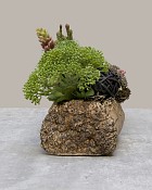 Oak&Hearth-3