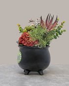Wicked-Cauldron-4