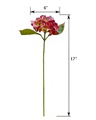ST-WHY1-BU-17P-4jpg