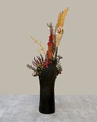 Midnight-Harvest-2