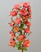 Rose Minnie 18.5" Peach/Red