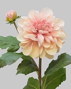 Dahlia 25" Light Mauve