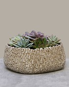 Stone Ridge Garden