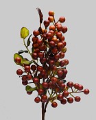 Muscat Berry 17" Rust