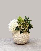 Green Joy Bundle - Small