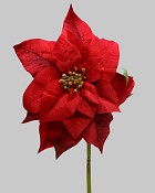 Poinsettia 29" Red