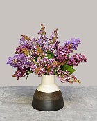 Lilac Dreams