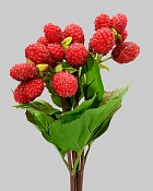 Raspberry Bundle 12" Red