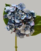 Hydrangea 18" (4" Bloom) Blue 