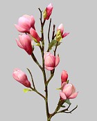 Tree Magnolia 32" Fuchsia