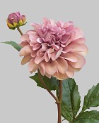 Dahlia 25" Deep Lavender