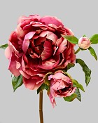 Peony 29" Fuchsia