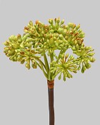 Angelica 14.5" Green