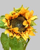 Sunflower 30" Yellow