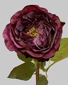 Rose Dutchess Bud 21.5" Burgundy