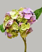 Hydrangea 18" (4" Bloom) Green/Lavender