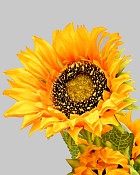 Sunflower 27" Yellow