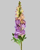 Snapdragon 30" Purple