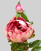 Peony with Bud 23" Fuchsia