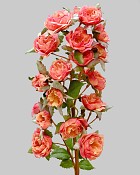Rose Minnie 18.5" Peach/Red