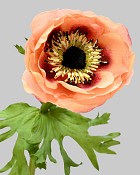 Anemone 17.5" Coral