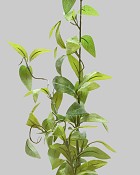 Dusty Laurel Branch 40" Green
