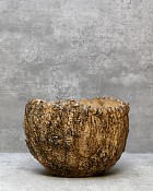 Fossil Planter - Brown 8"D