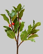 Pointed Holly 14.5" Green/Red