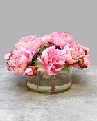 Pink Serenity