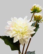 Dahlia 22.5" White