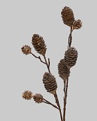 Pinecone Spray 28" Whitewash 