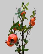 Pomegranate Stem 35" Orange