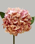 Hydrangea 18" (7" Bloom) Pink/Cream