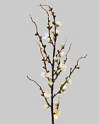 Peach Blossom 30" White